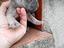 Immagine 5
