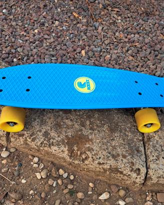 Skateboard Roces