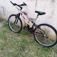 Bici  Bottecchia