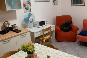 Bosa marina v venezia lib april mag giug lug 16ago