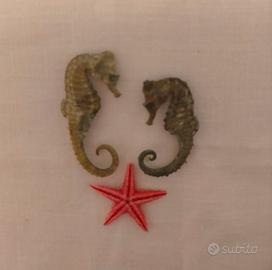 2 Cavallucci marini e 1 Stella marina 