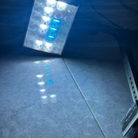 Lampada per acquario marino