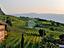 Immagine 18