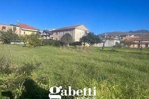 Terreno Agricolo Pignataro Maggiore