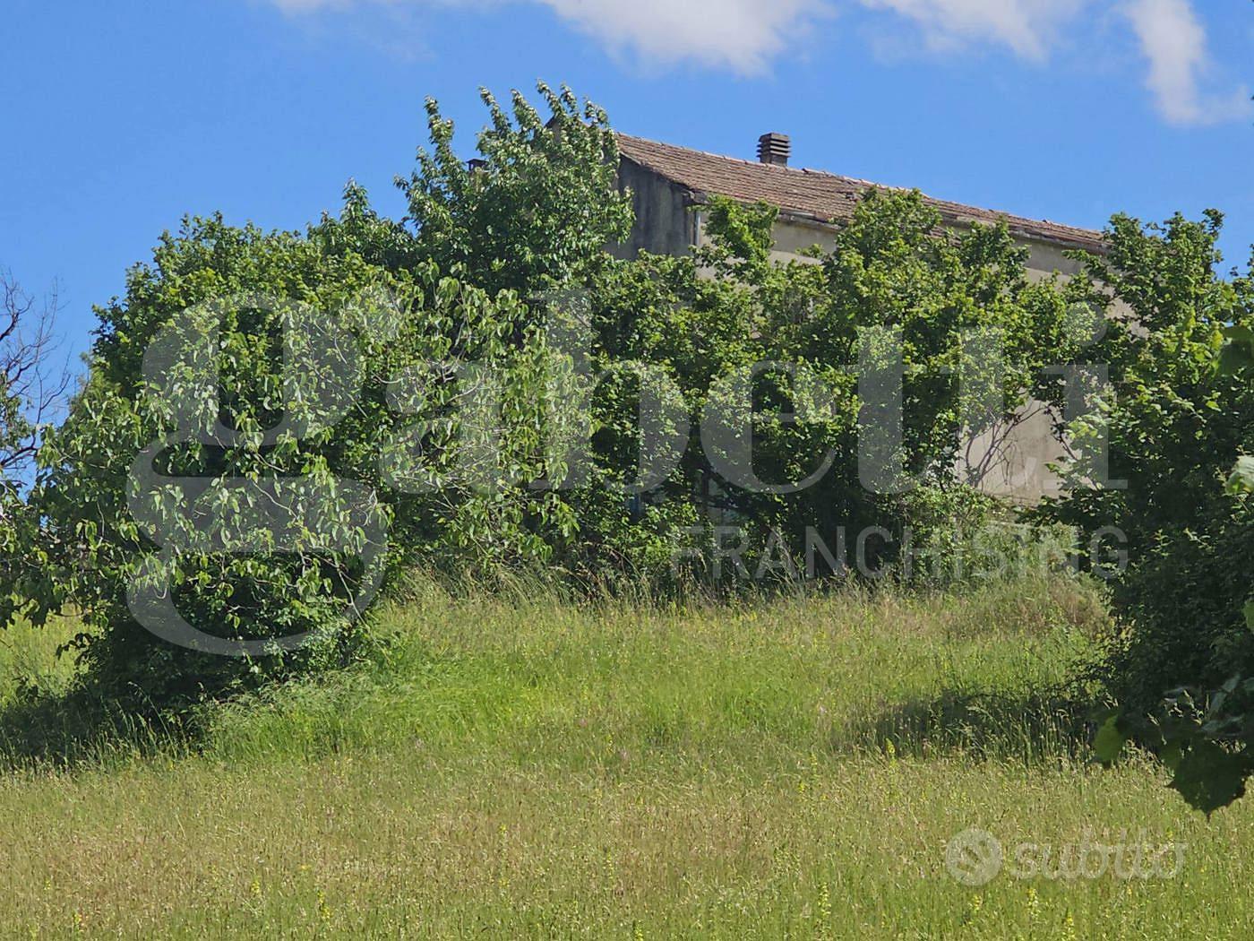Terreno Agricolo Laino Borgo [238VRG] - Altro