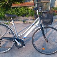 Bicicletta con cestino