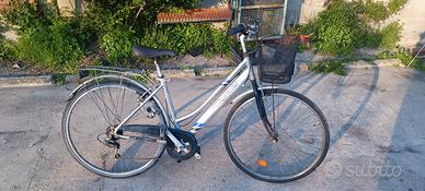 Bicicletta con cestino