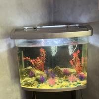 acquario 100 litri