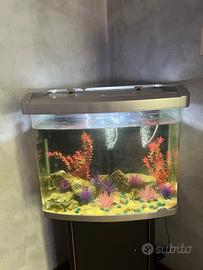 acquario 100 litri