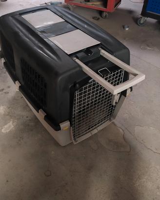 Kennel