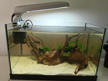 acquario completo 25 litri