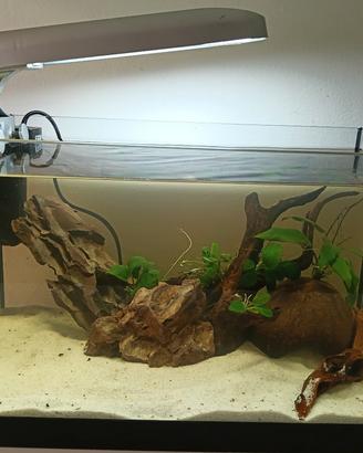 acquario completo 25 litri