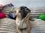 Immagine 1