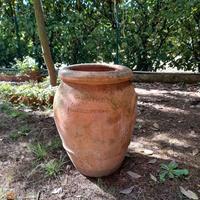 orcio toscano primi '900