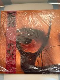 Vinile LP rosso Nayt Io Individuo autografato
