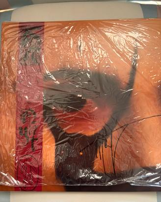 Vinile LP rosso Nayt Io Individuo autografato