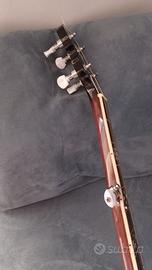 Banjo Epiphone MB 200