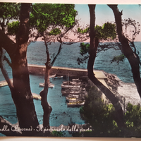 Cartolina Quercianella Livorno