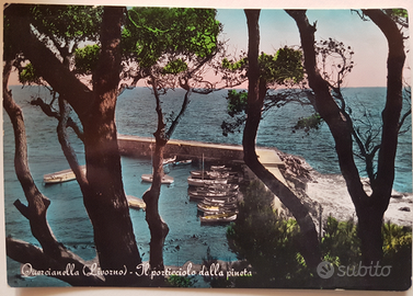 Cartolina Quercianella Livorno