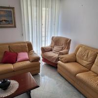 Divano letto matrimoniale e divano 2 posti