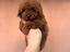 Immagine 14