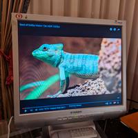 Monitor tv Hyundai 17 pollici