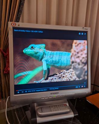 Monitor tv Hyundai 17 pollici