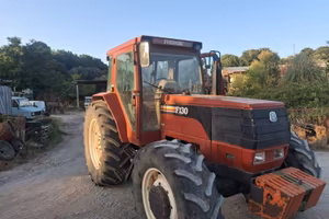 Fiat F130 Usato – Piansano (VT)