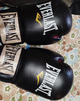 Guantoni Everlast 12oz