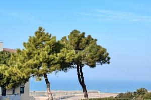 Casa vacanza a 750 metri dal mare - Via Ancona