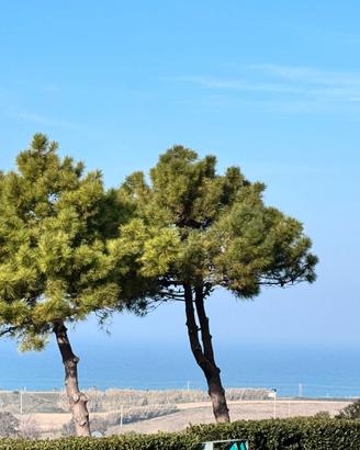 Casa vacanza a 750 metri dal mare - Via Ancona