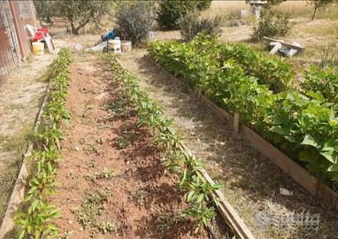 Terreno agricolo