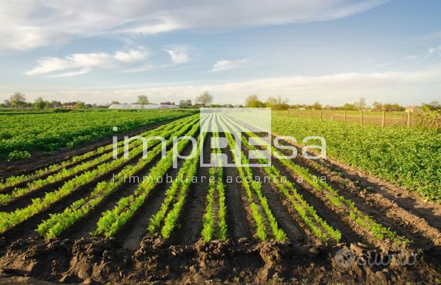 Terreno Agricolo - Ponte di Piave