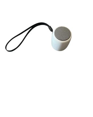 Speaker