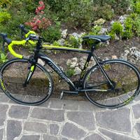 Bici da corsa montana