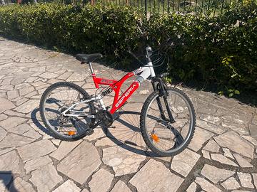 Bicicletta Esperia Excalibur raglia 26 misura L