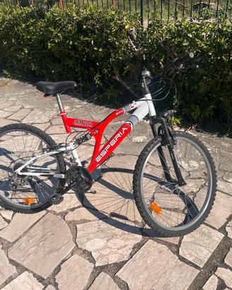 Bicicletta Esperia Excalibur raglia 26 misura L