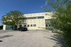 Rif.G273| capannone rosolina