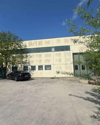 Rif.G273| capannone rosolina