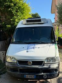 Furgone Iveco Tetto alto refrigerato passo medio