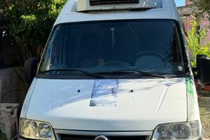 Furgone Iveco Tetto alto refrigerato passo medio
