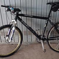 Mountain bike usata