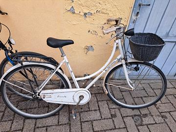 bici con cestino 
