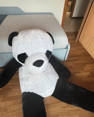 Panda gigante