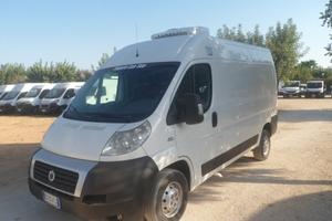 Fiat Ducato medio alto frigo coibentato