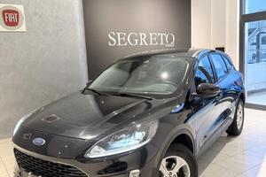 Ford Kuga 1.5 EcoBlue 120 CV aut. 2WD Connect