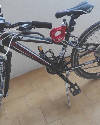 montanbaik bottecchia acciaio e alluminio 