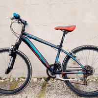 bicicletta lombardo 24