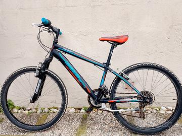 bicicletta lombardo 24