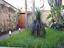 Immagine 19